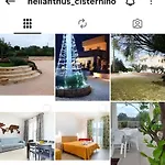 Vila Helianthus *