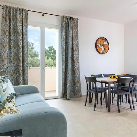 Helianthus * 치스테르니노