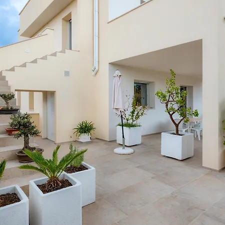 Helianthus Cisternino