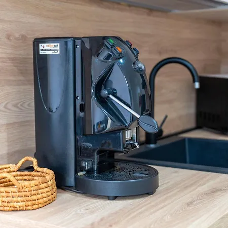 Helianthus 치스테르니노