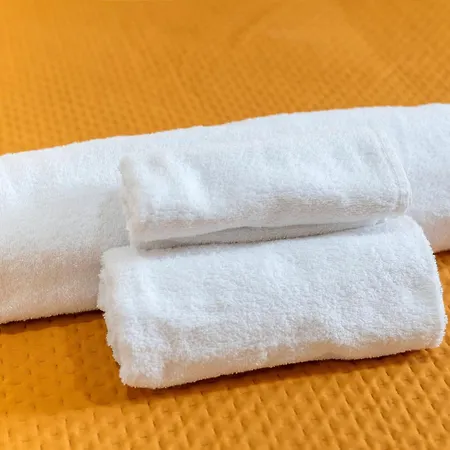 Helianthus Cisternino