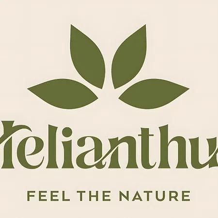 别墅 Helianthus 奇斯泰尼诺