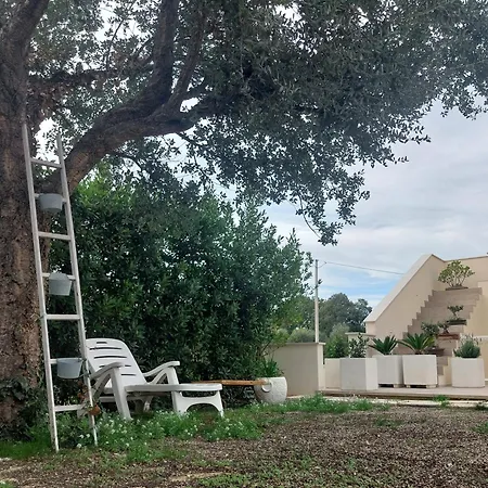 Helianthus וילה *